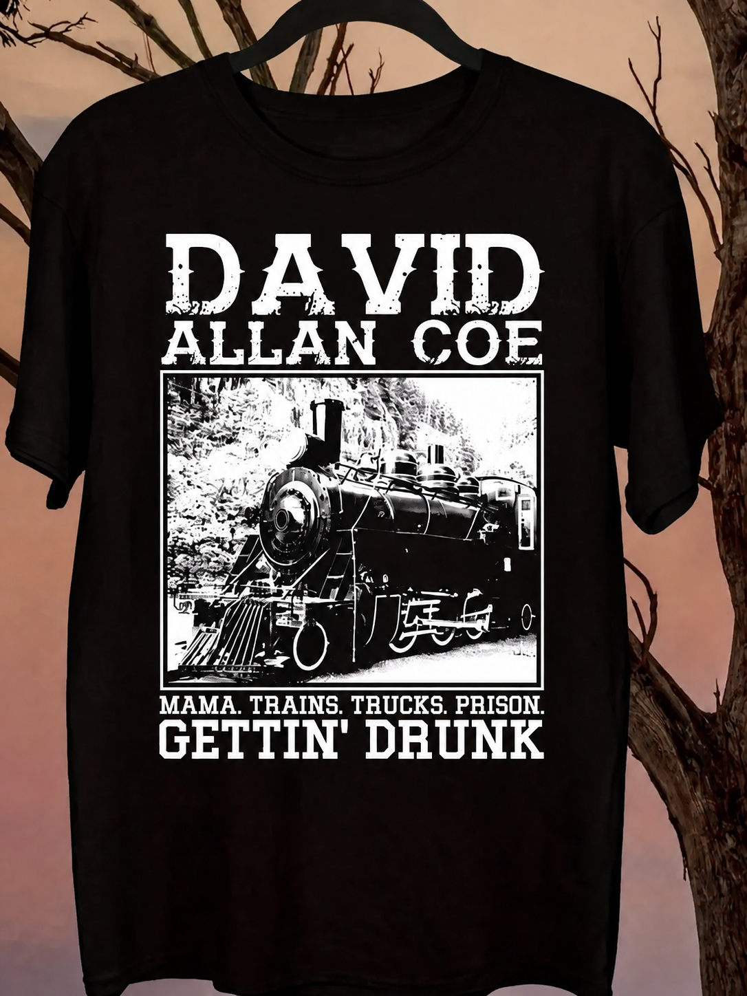 David Allan Coe Western Retro Train