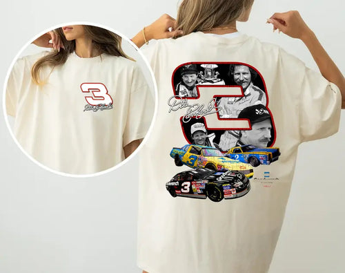 Dale Earnhardt 3 Car 90s - Nassscar