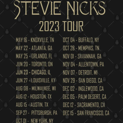 Stevie Nicks Tour 2023 Graphic 2 Sides