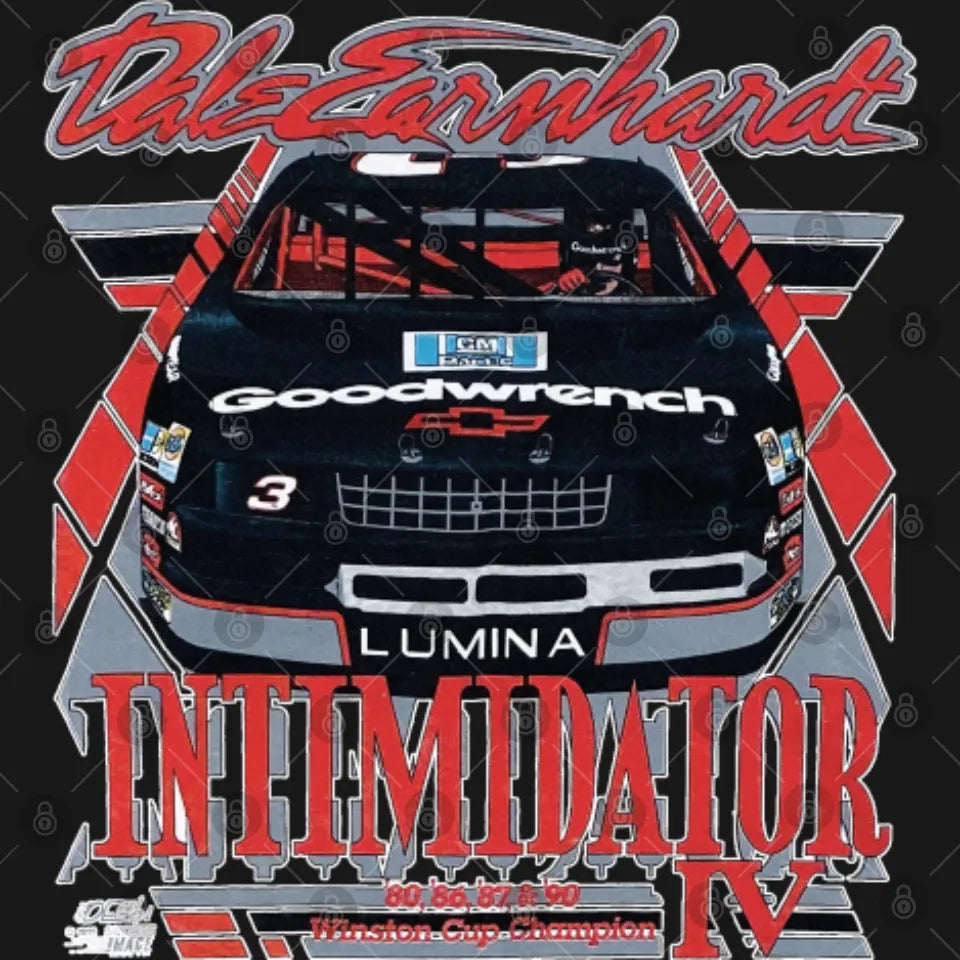 Vintage 1991 Dale Earnhardt Intimidator Tour 2 sides