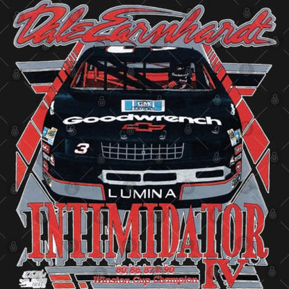 Vintage 1991 Dale Earnhardt Intimidator Tour 2 sides